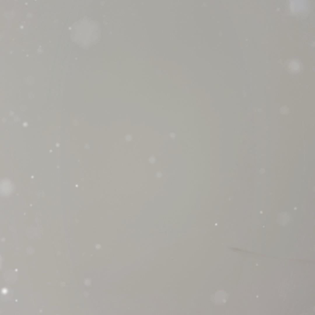 付长鑫