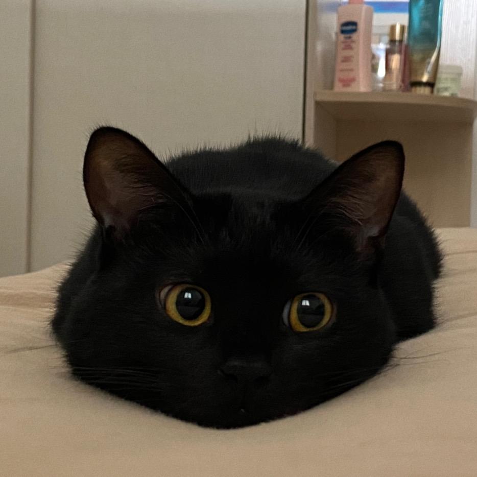 小黑
