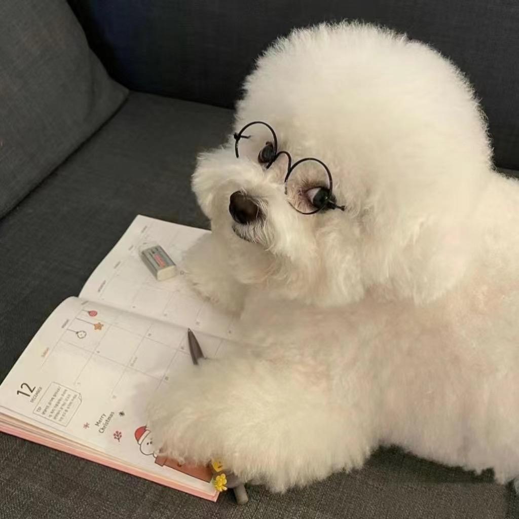 黄焖鸡真郝吃