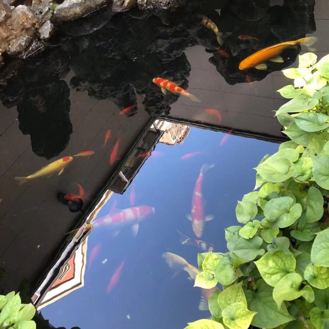 宝鸡售房小姐姐可可