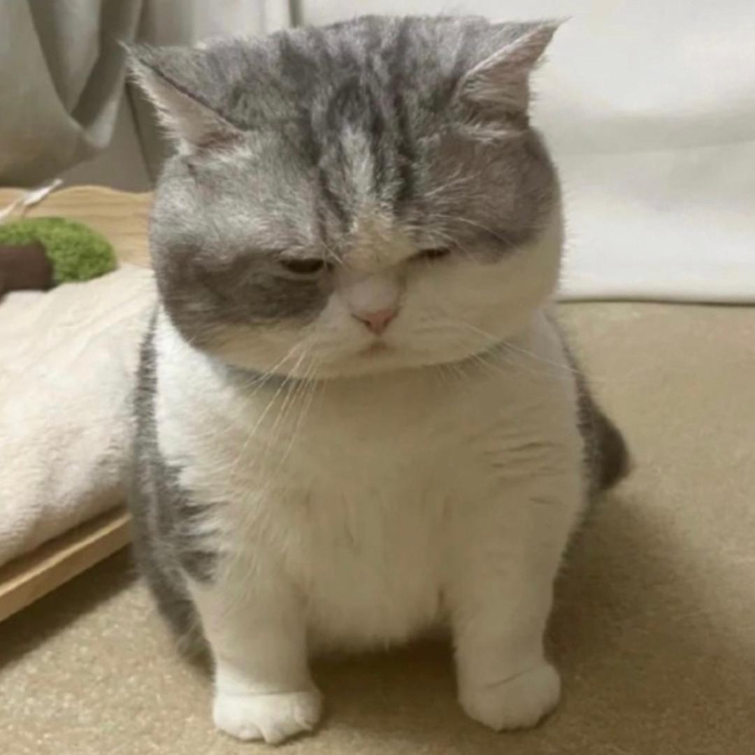 安呆