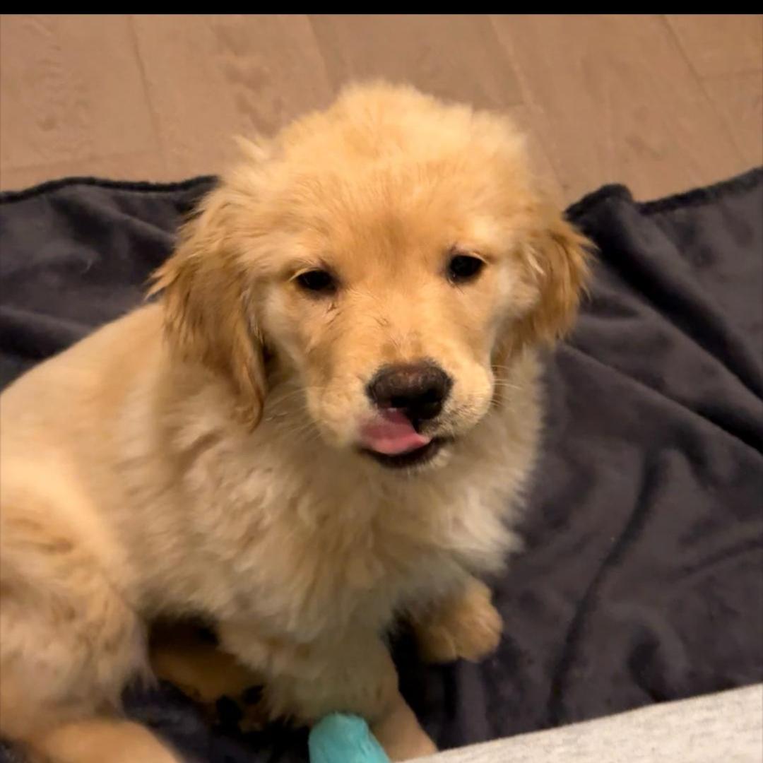 FFF