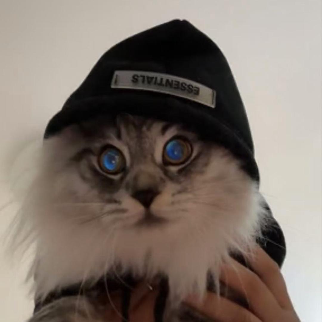 一只幸福的摩托车