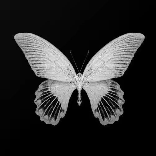 沐七七
