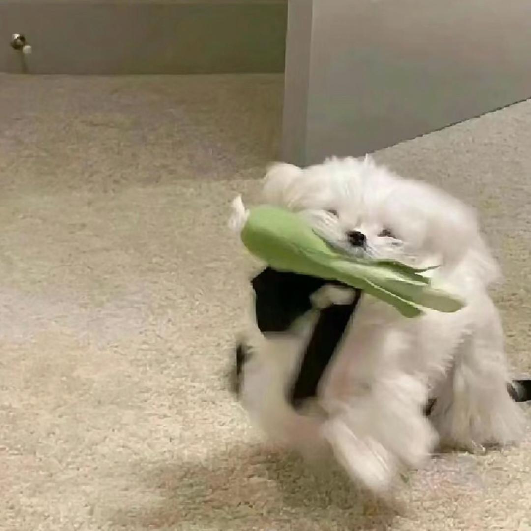 李可以