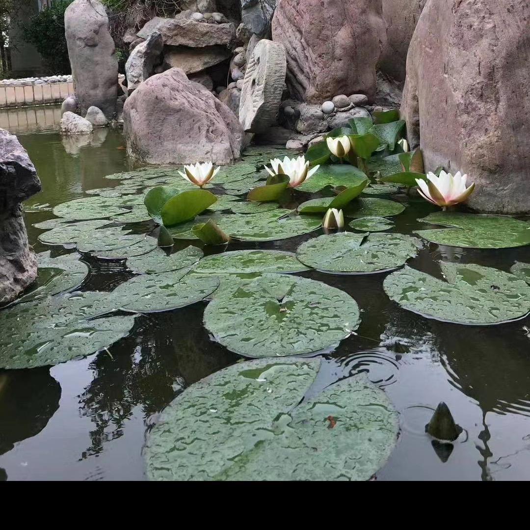 我切