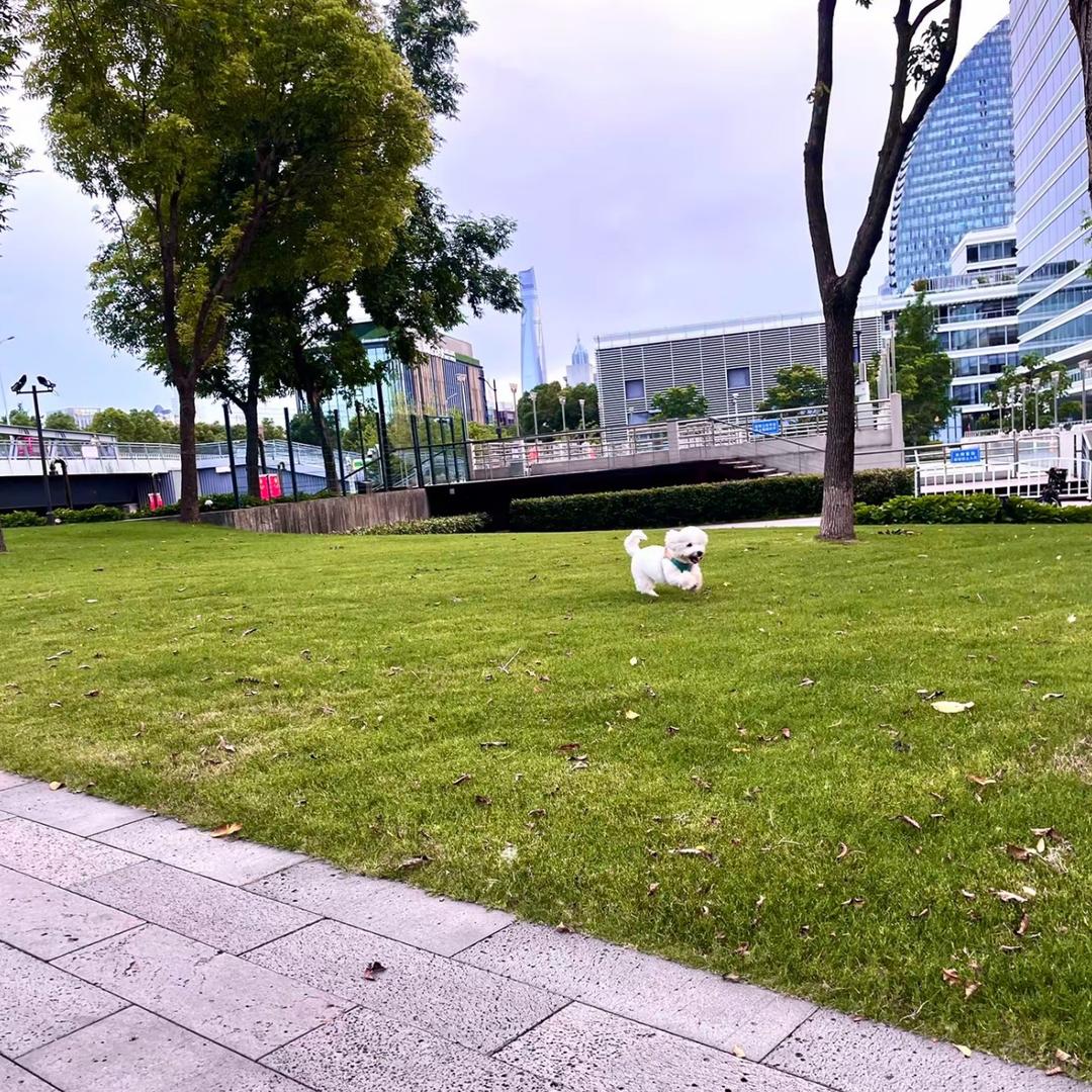 我不愿让你一个人