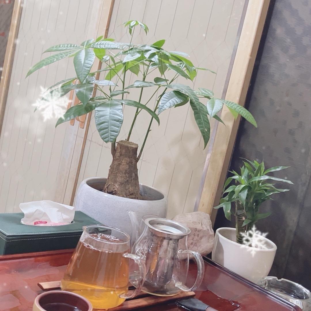 斌