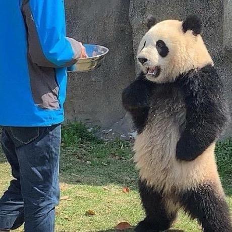 火锅大王