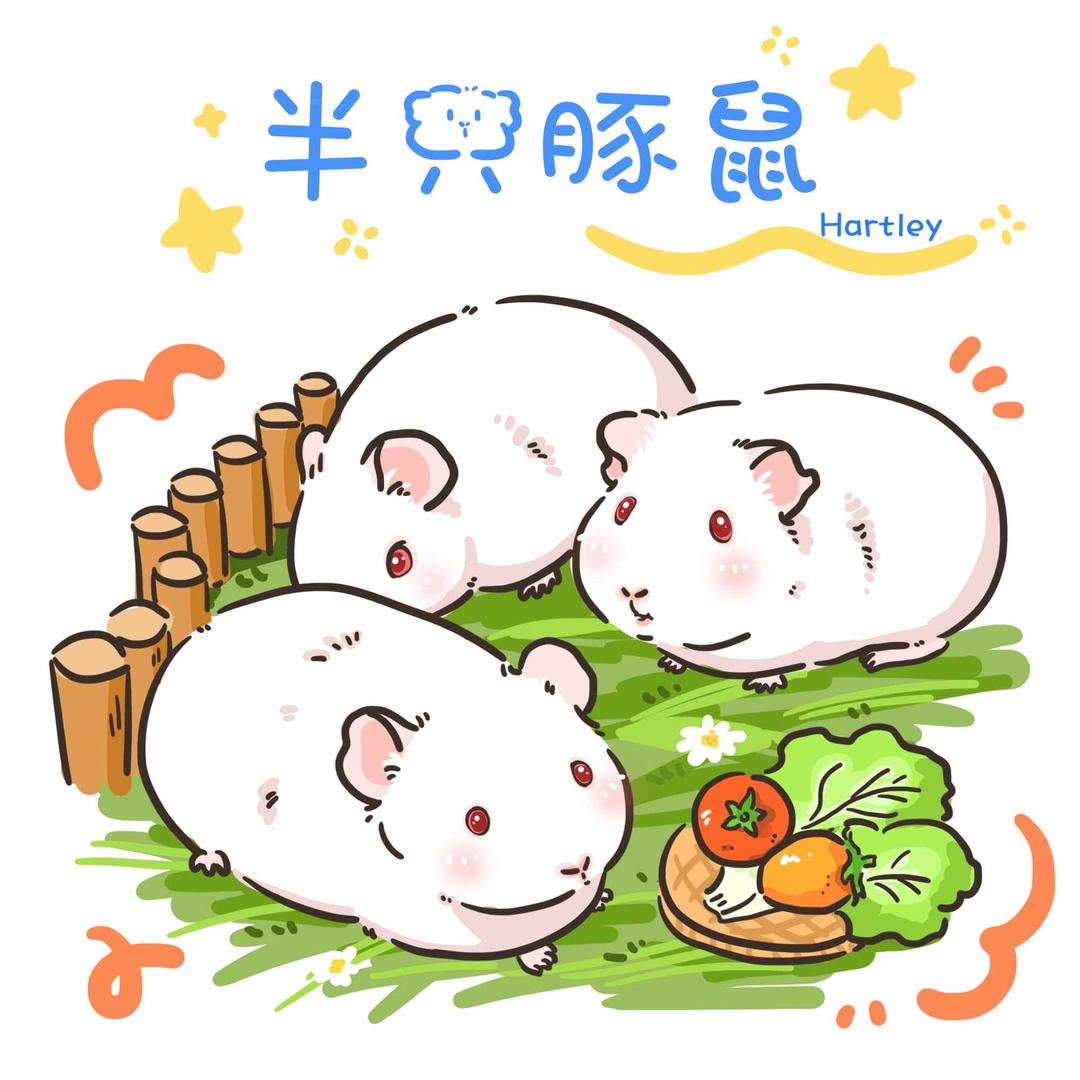 宁远县郭氏实验白豚鼠繁殖基地（湖南永州）