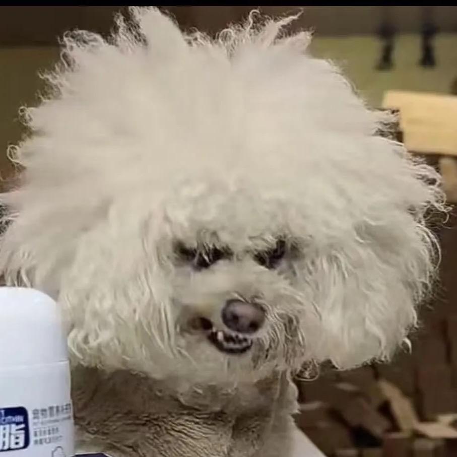 已注销的抖音用户