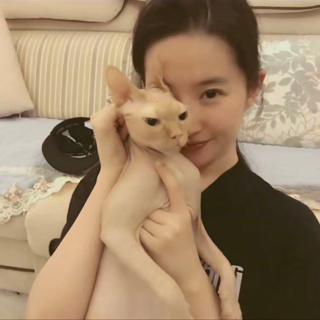 小美🖤