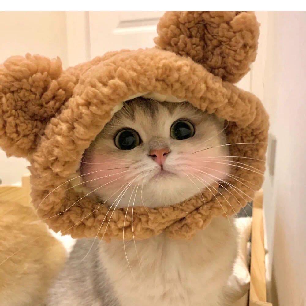 戴戴装修日记（自装中）