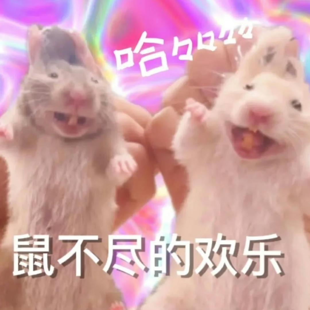 是小熊呀