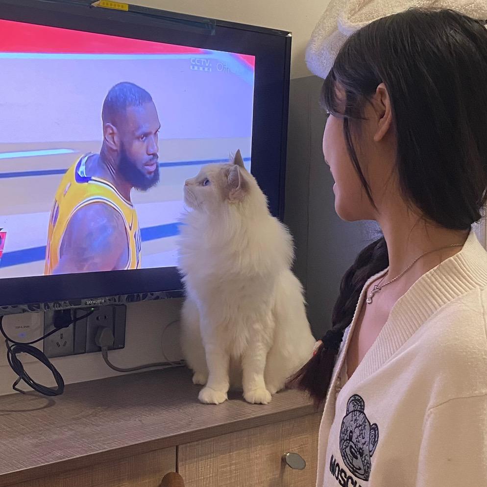 开心重要噜