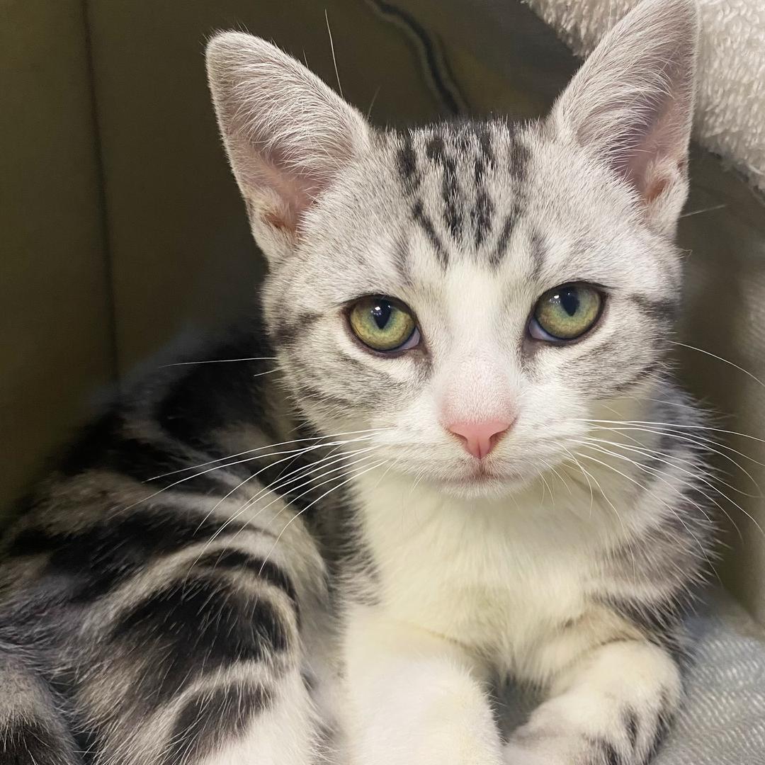 陈摩卡你别演了