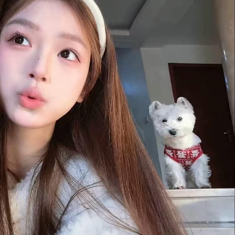 晚安