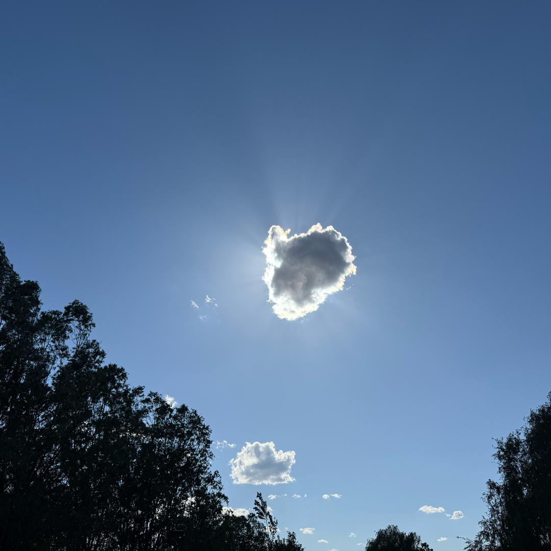夏天的风c