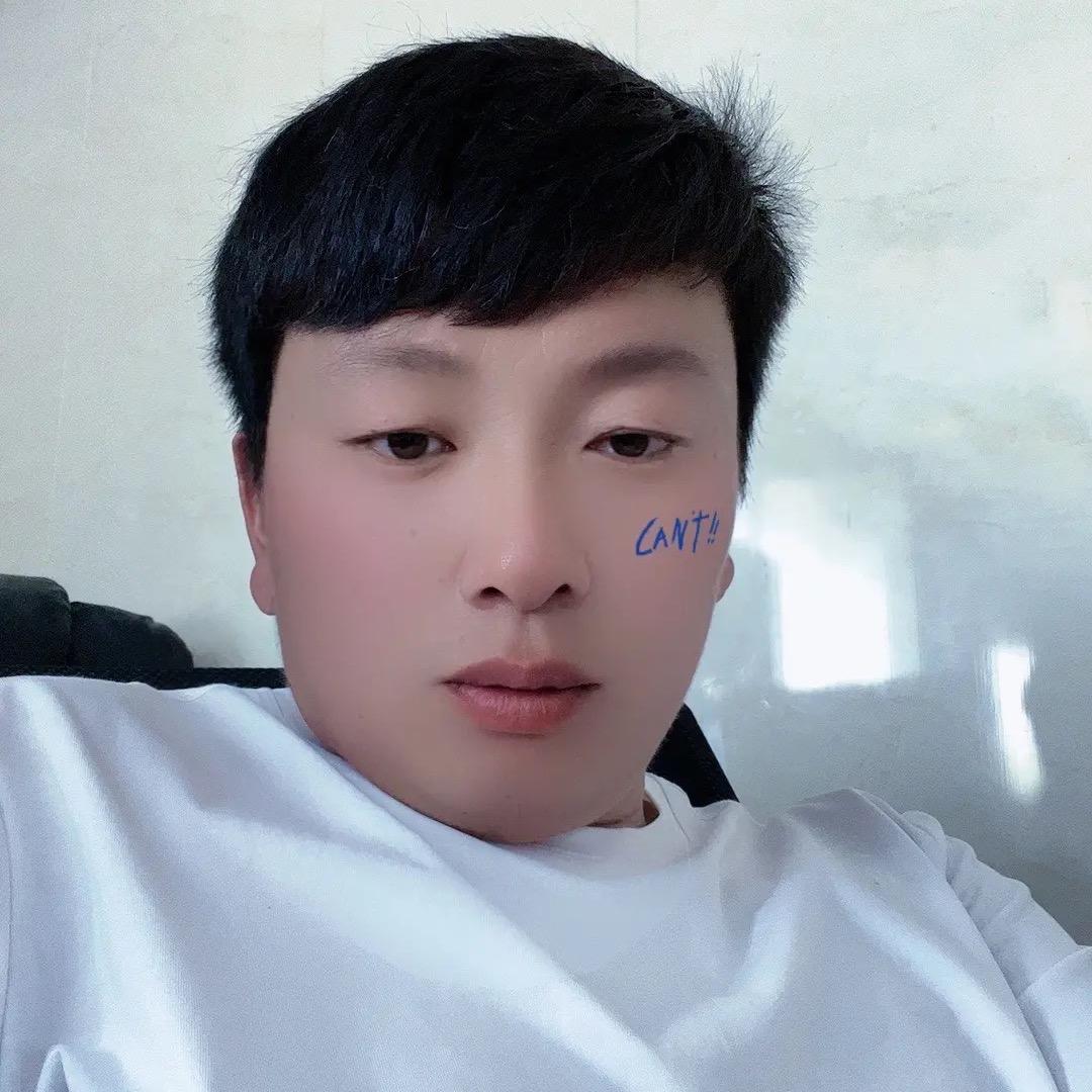 临泉振伟装饰公司