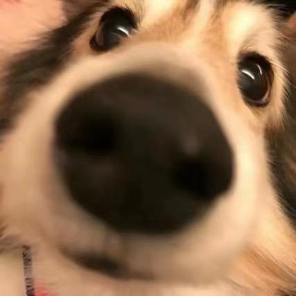 everythingmakesmecry