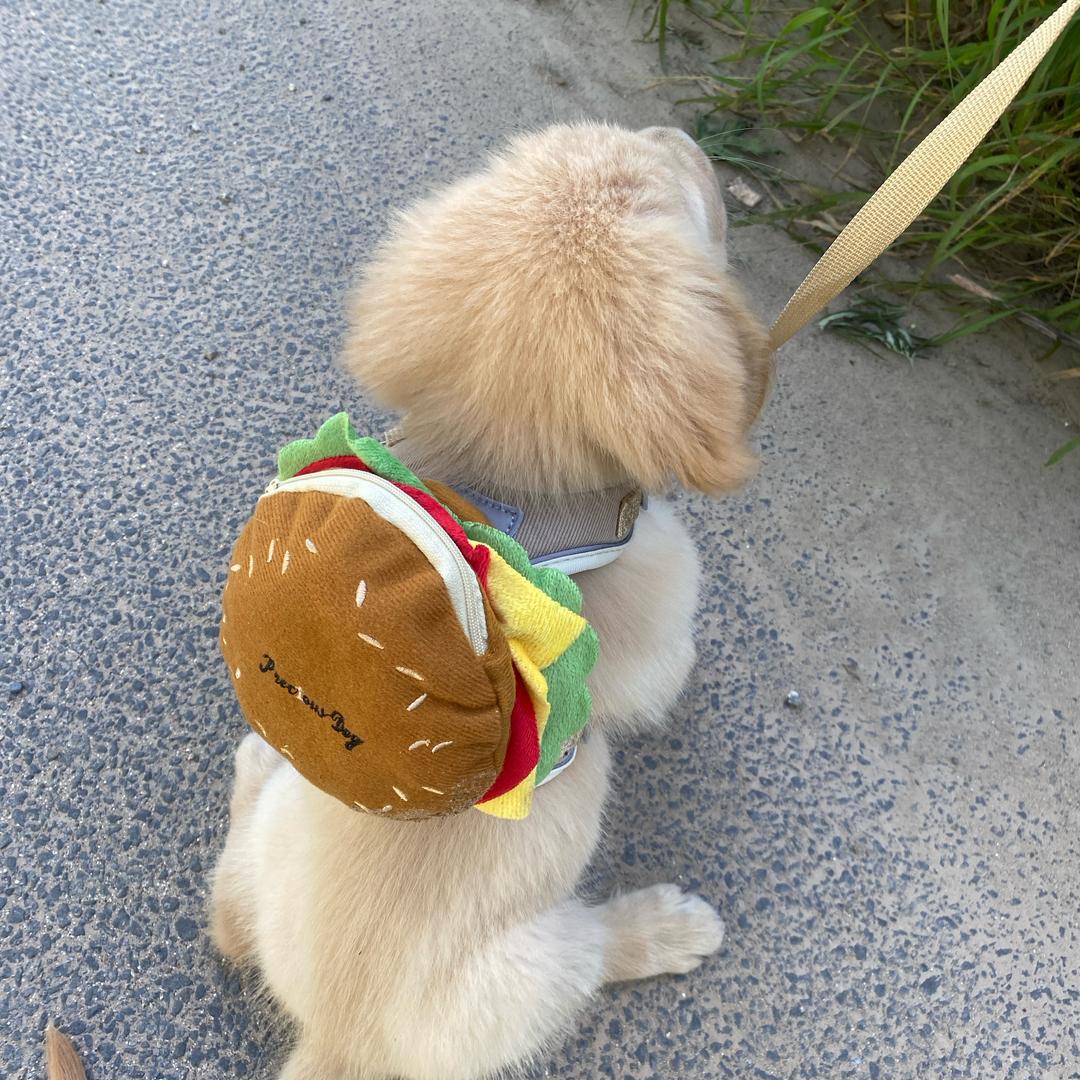 一晚点八个男模