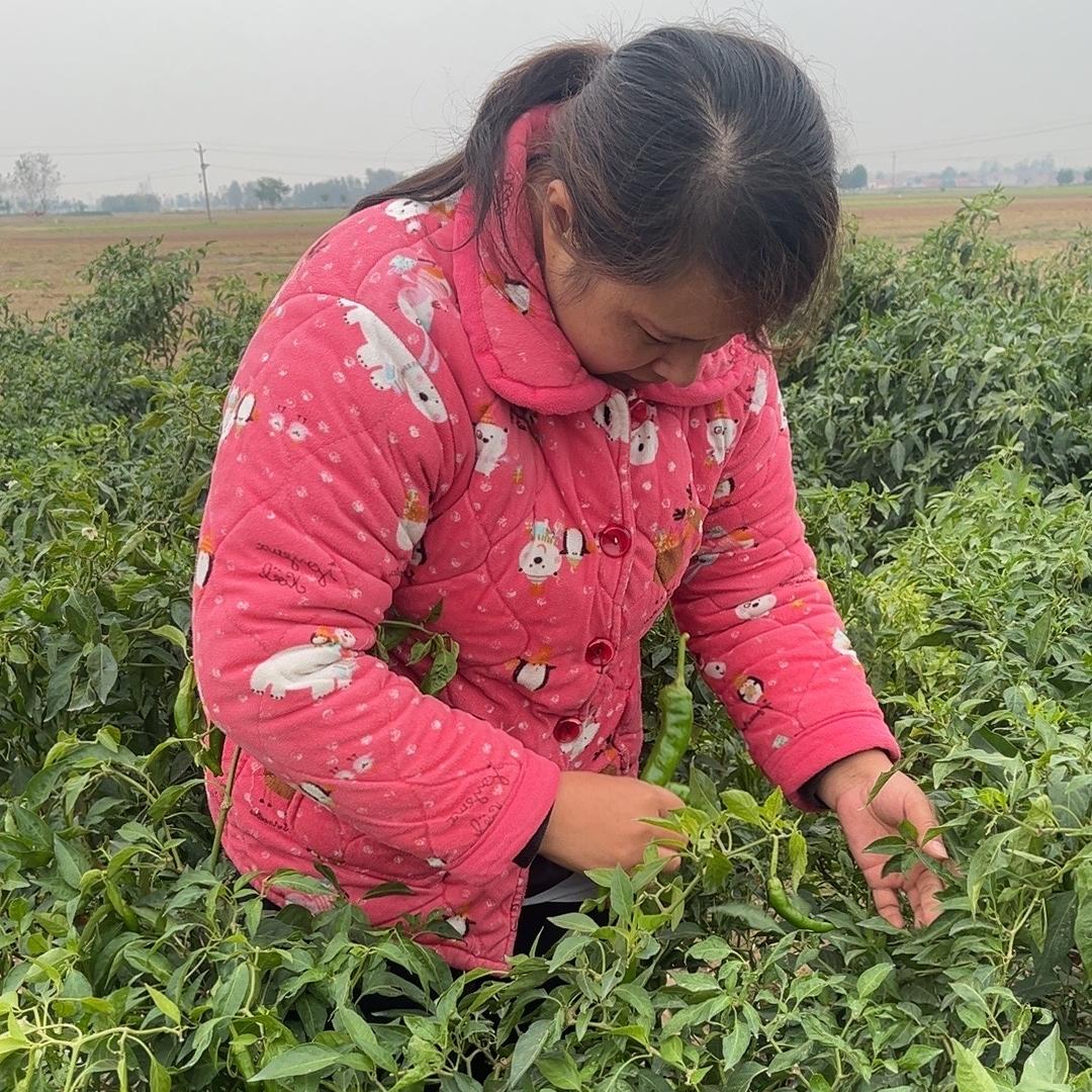 小溪甄选农产品