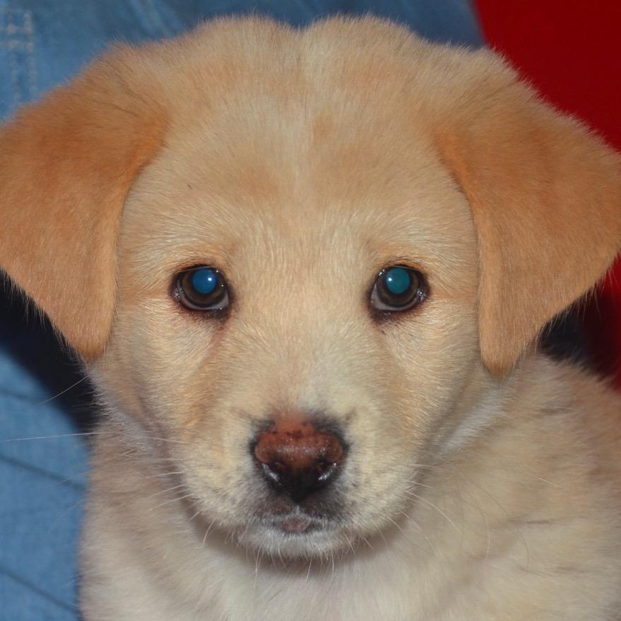 凡凡的美护合集