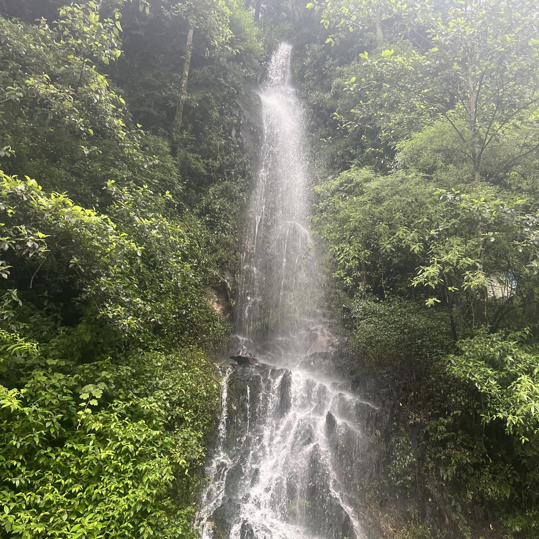 建邦农业