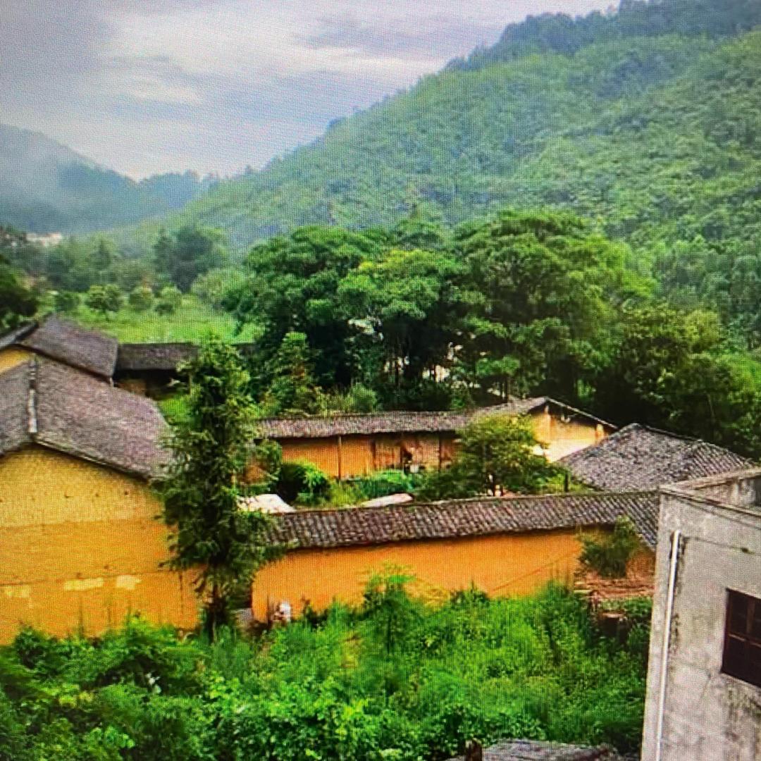 努力奔跑的二丫