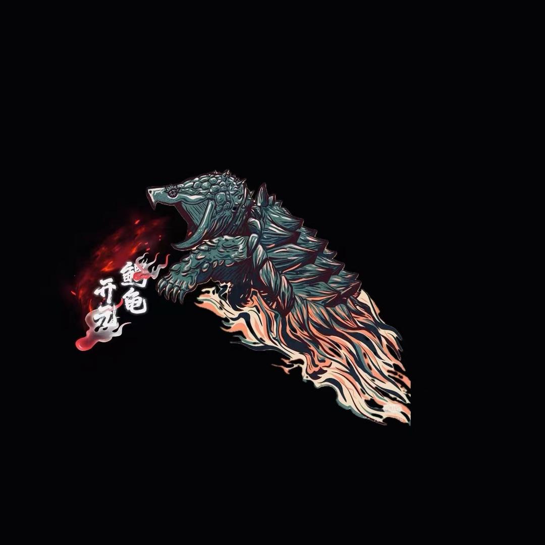 开元鳄龟 (挑龟 看龟)