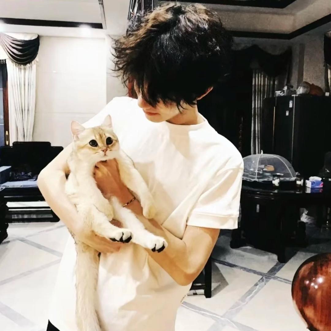 大猫