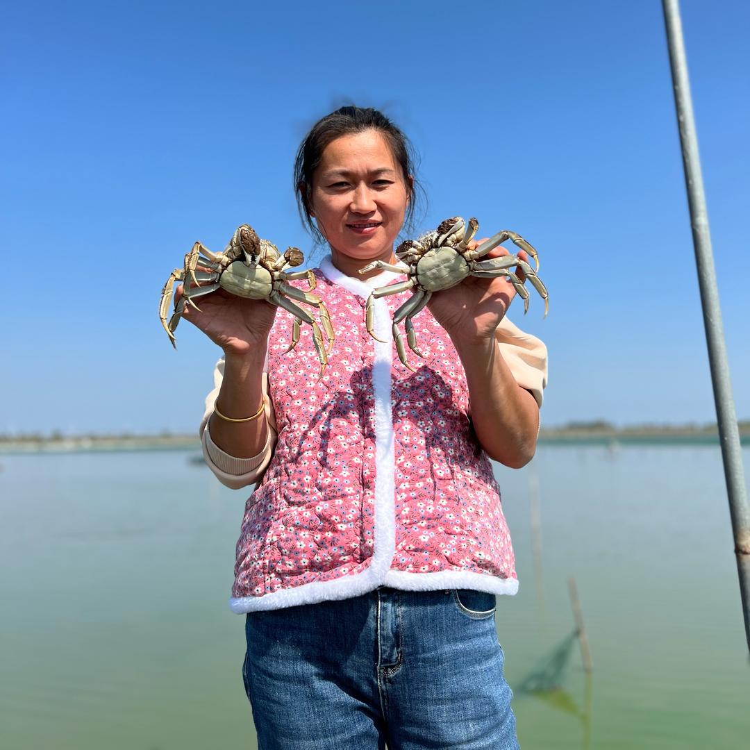 湖边小雅