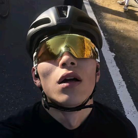东方树叶