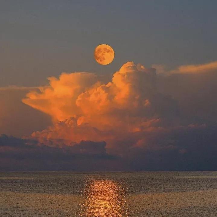 H ui 🔥宝的日常生活