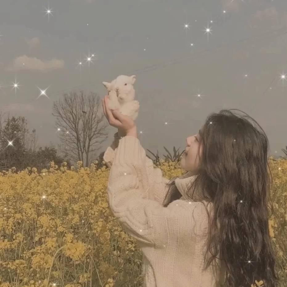 昙花一现