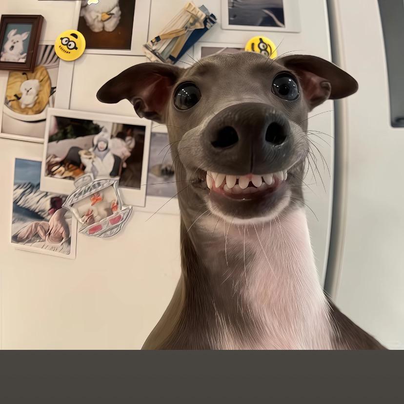 哈喇子（暗区突围pc）