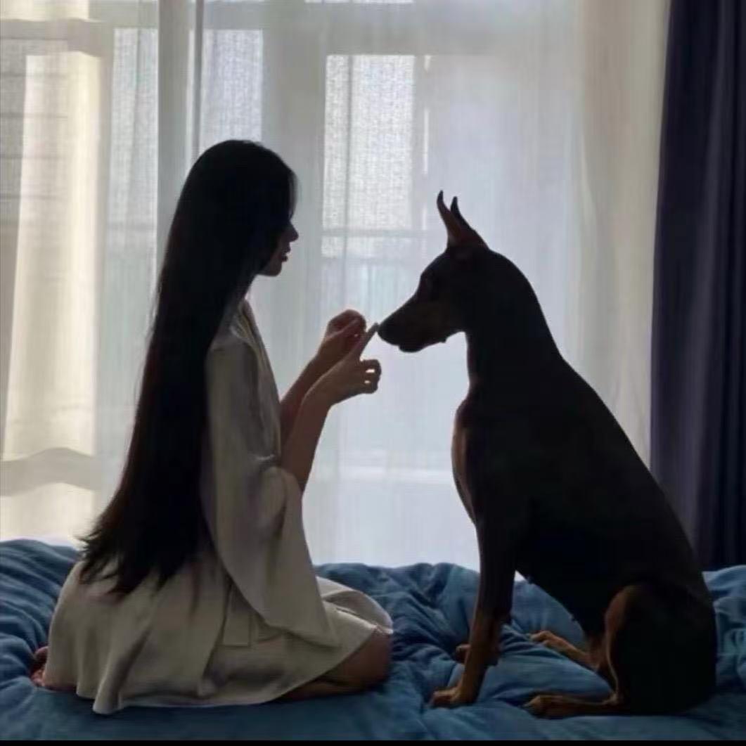 嘉弘百货