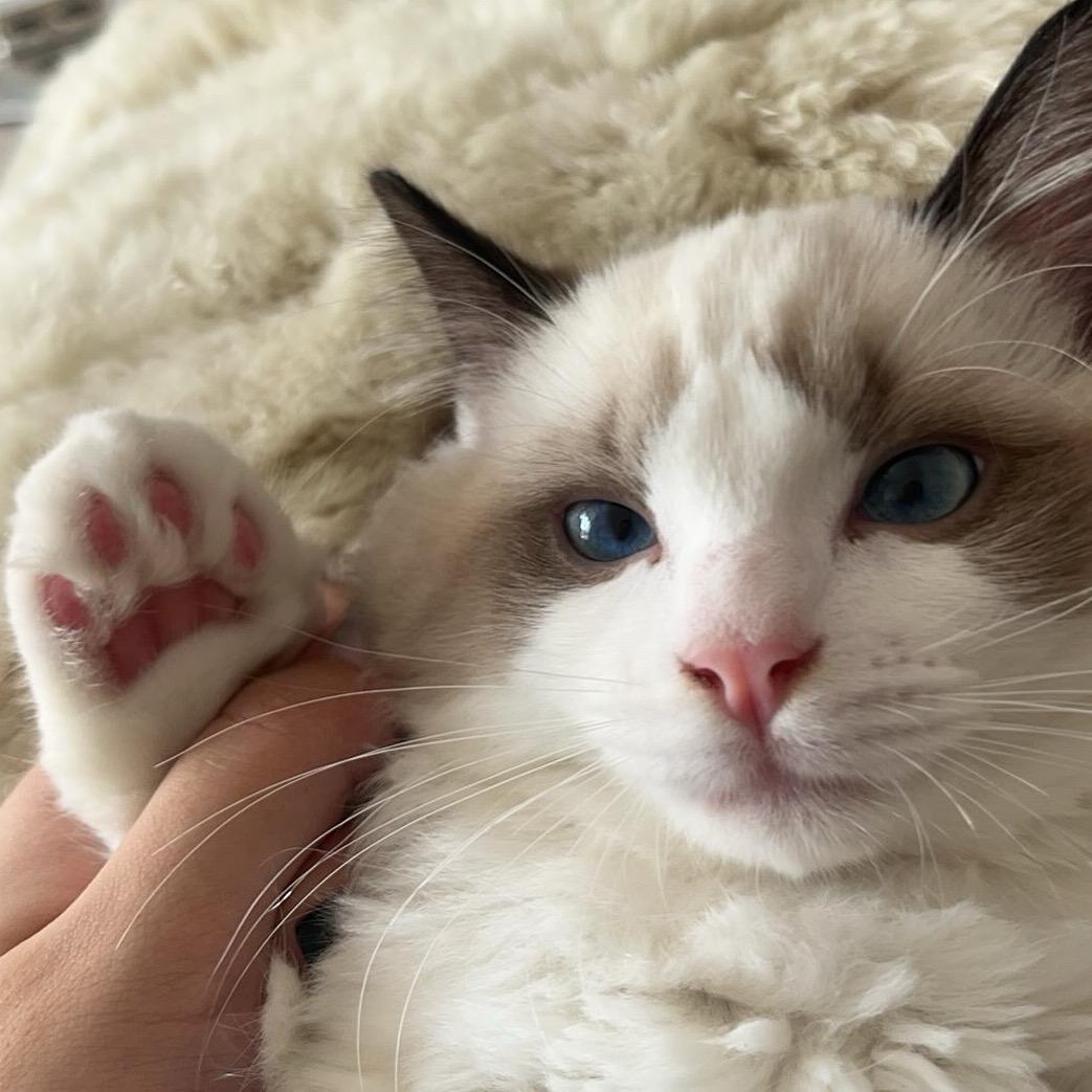 人 快来找厅做展咪👋