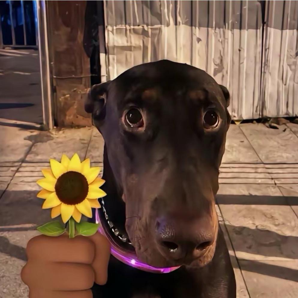 看看你