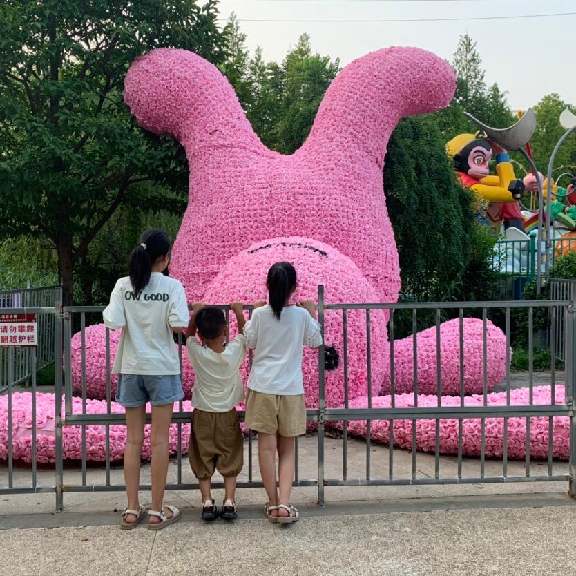 小呆呆不呆