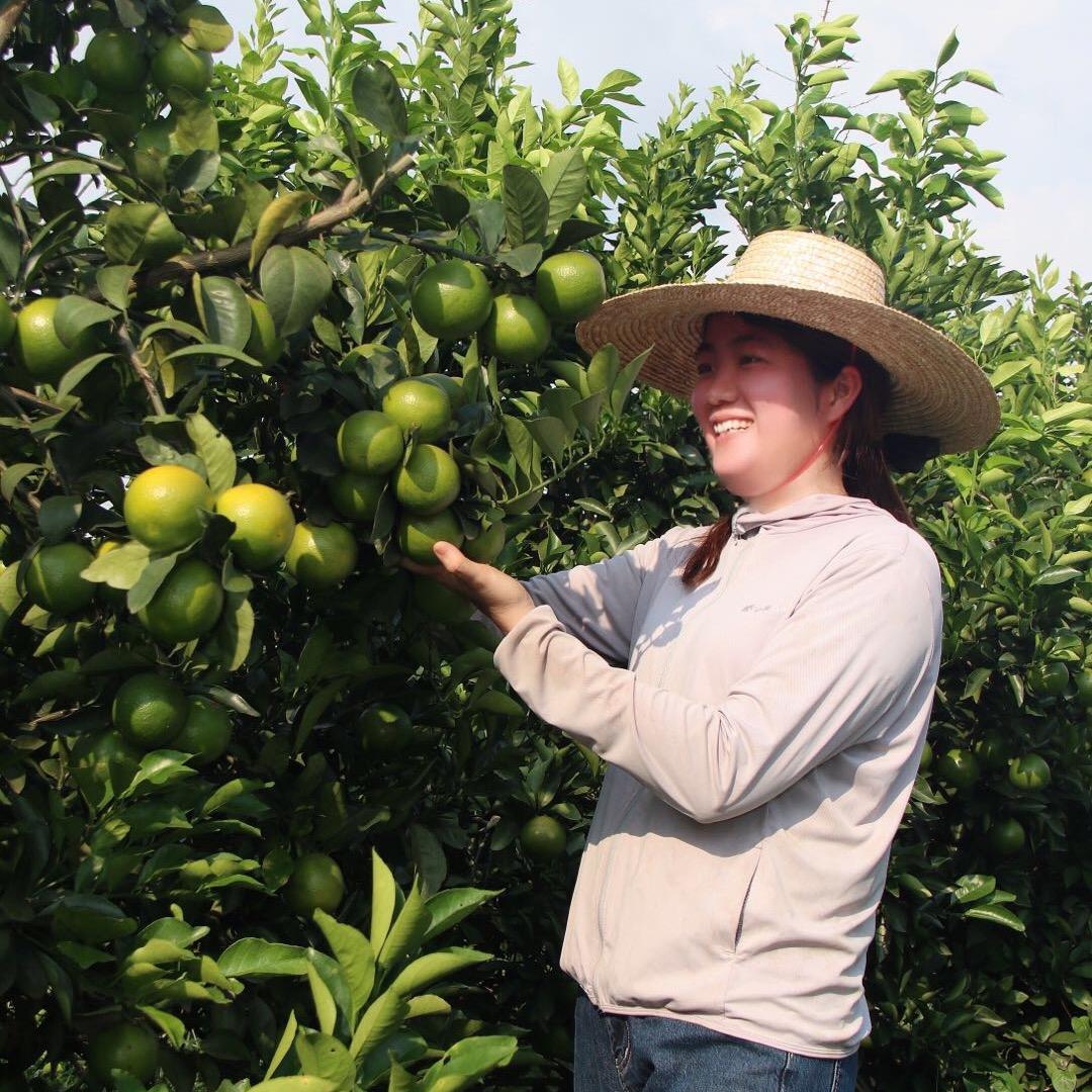 徐闻县南端种养家庭农场