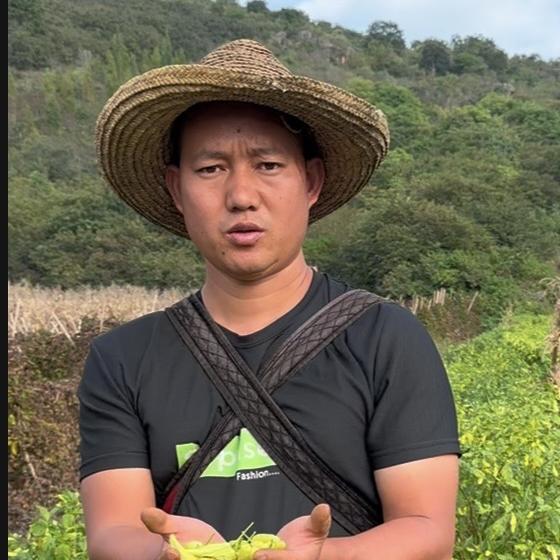 鲜货个体店