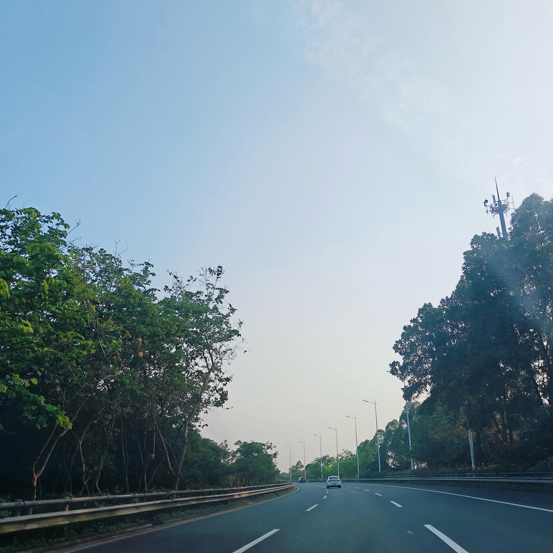 柠檬橙子萌萌哒