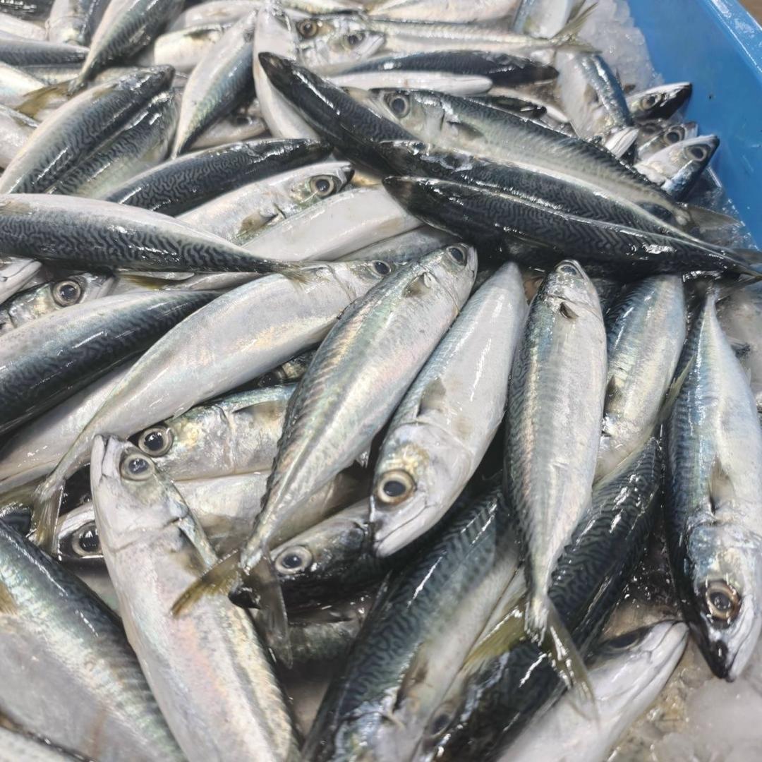 小六海鲜
