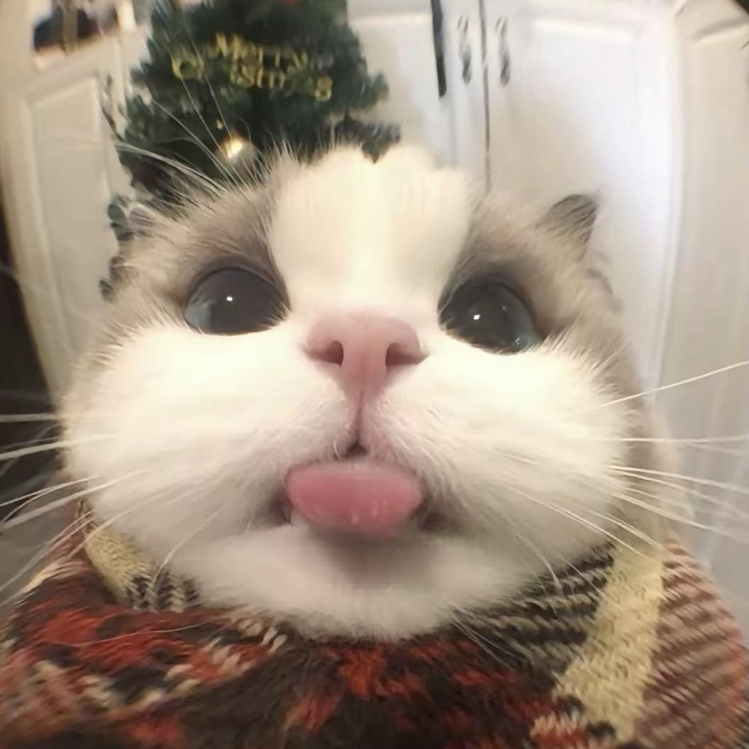^QQ.