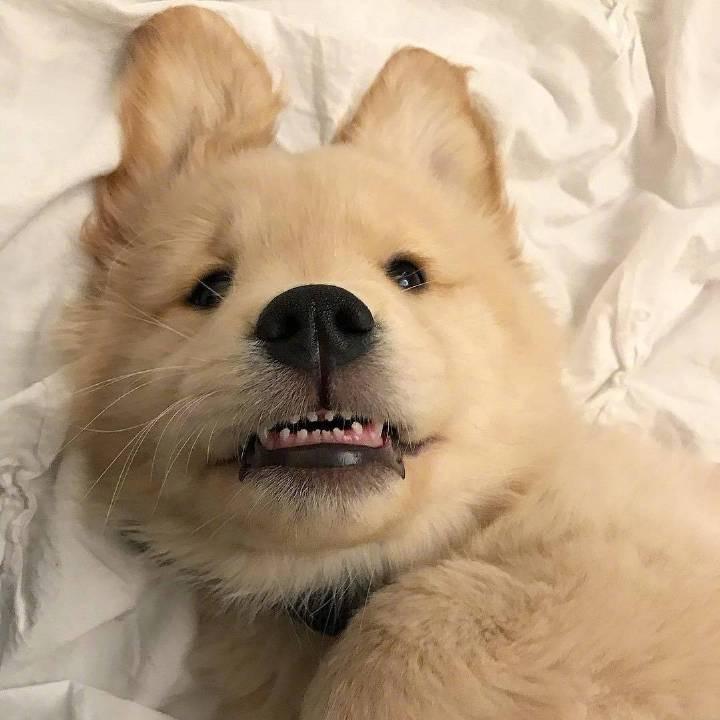 Ar小卷卷