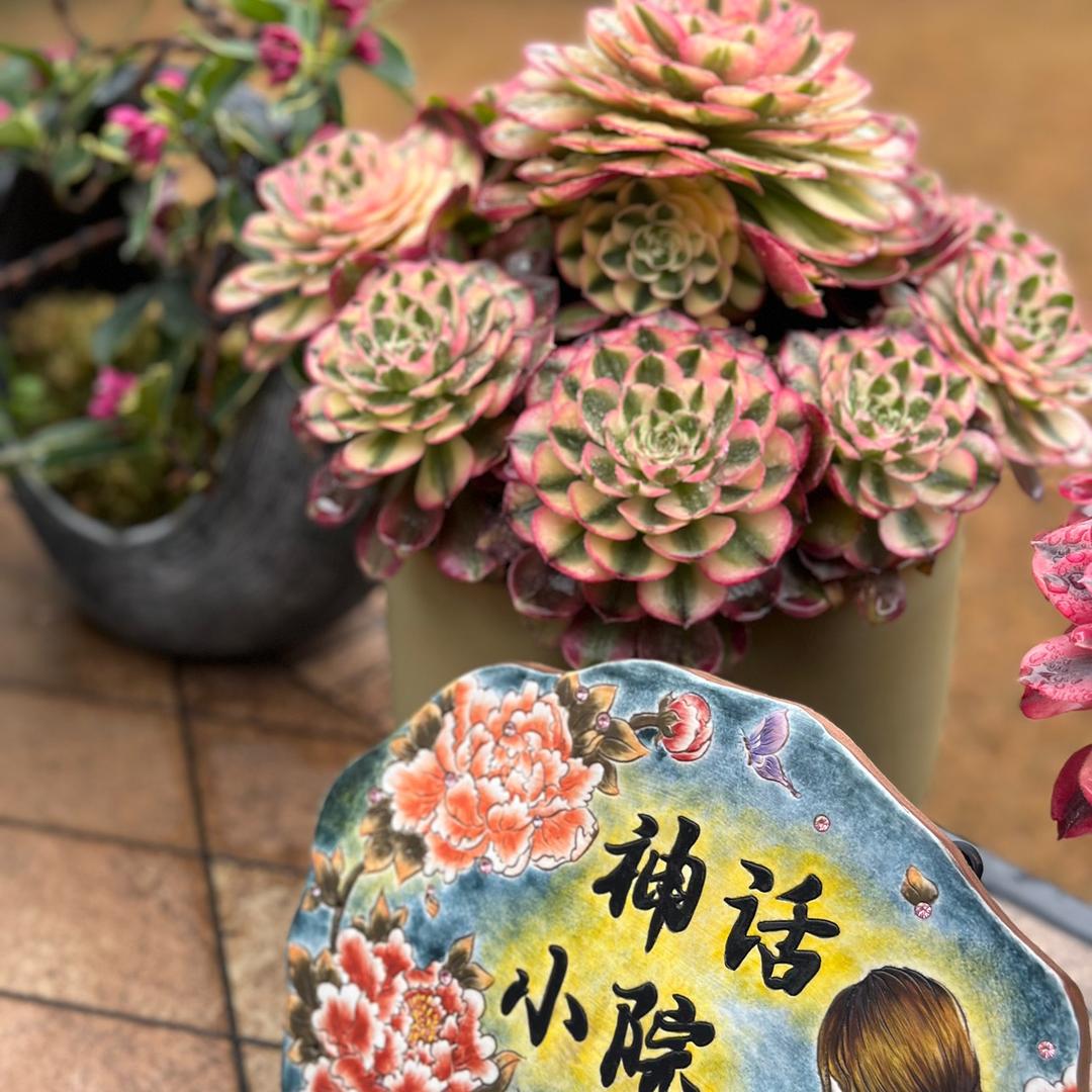 神话姑姑