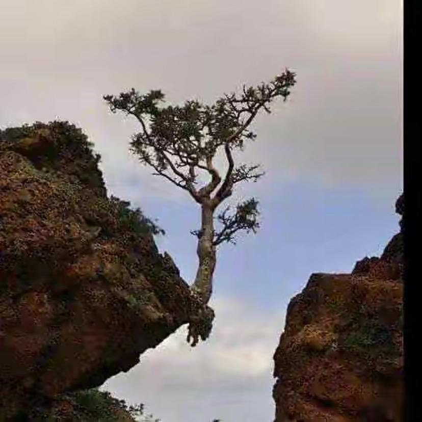 小涛哥