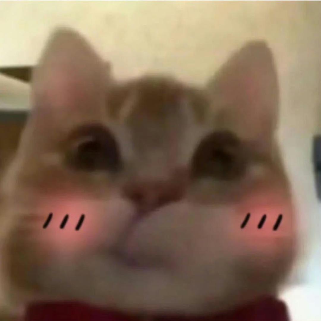 纯情少女猪刚鬣