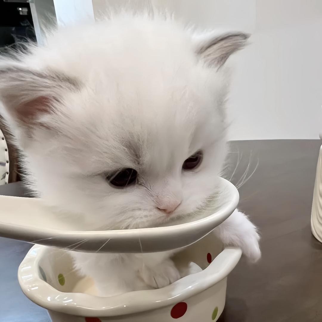 拜托你别离开我